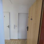 Pronajměte si 2 ložnic/e byt o rozloze 44 m² v Kraslice