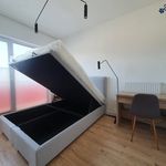 Wynajmij 2 sypialnię apartament z 49 m² w Bielsko-biała