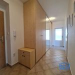 Rent 1 bedroom apartment of 52 m² in Plzeň