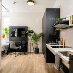Rent 1 bedroom apartment of 18 m² in Krakow