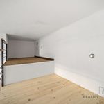 Rent 1 bedroom apartment of 40 m² in Pardubice