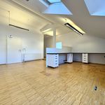Rent 4 bedroom apartment of 160 m² in Bad Vöslau