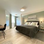 Rent 2 bedroom apartment of 50 m² in Detmold
