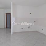 Affitto 4 camera appartamento di 95 m² in Ferentino