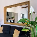 Rent 1 bedroom apartment of 45 m² in Montpellier