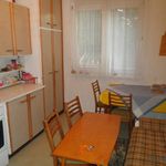 Rent 1 bedroom apartment of 58 m² in Zlín