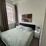 Rent 3 bedroom apartment of 100 m² in Leiden
