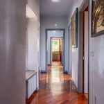 Rent 6 bedroom house of 25 m² in Albano Laziale