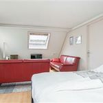 Rent 1 bedroom apartment of 48 m² in Nijmegen