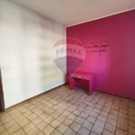 Rent 5 bedroom apartment of 118 m² in Bagheria