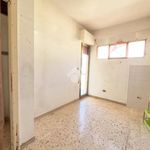 Rent 4 bedroom apartment of 100 m² in Monreale