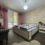 Rent 3 bedroom apartment of 72 m² in Číhošť