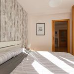 Alquilar 1 dormitorio apartamento en Castelló
