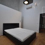 Rent 2 bedroom apartment of 146 m² in Praha