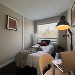 Rent 1 bedroom student apartment in Brampton