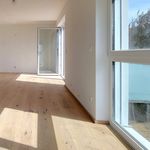Rent 1 bedroom apartment of 92 m² in Krems an der Donau