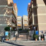 Rent 1 bedroom apartment of 55 m² in Ciampino