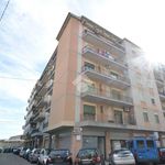 Rent 3 bedroom apartment of 70 m² in Messina