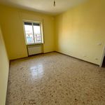 Rent 1 bedroom apartment of 60 m² in Cisterna di Latina
