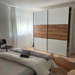 Rent 2 bedroom apartment of 68 m² in München