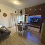 Rent 3 bedroom apartment of 98 m² in Novara