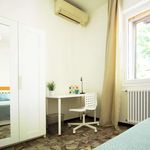 Rent a room of 84 m² in Bologna