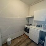 Rent 1 bedroom apartment of 44 m² in Budapest