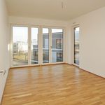 Rent 4 bedroom apartment of 134 m² in Dresden