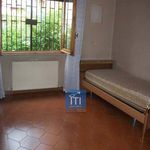 Rent 2 bedroom apartment of 45 m² in Genazzano