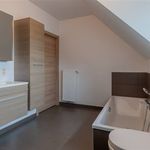 Rent 3 bedroom apartment in Wichelen