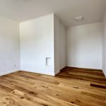 Rent 3 bedroom apartment of 96 m² in Baden