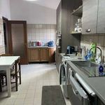 Rent 3 bedroom apartment of 130 m² in Roma