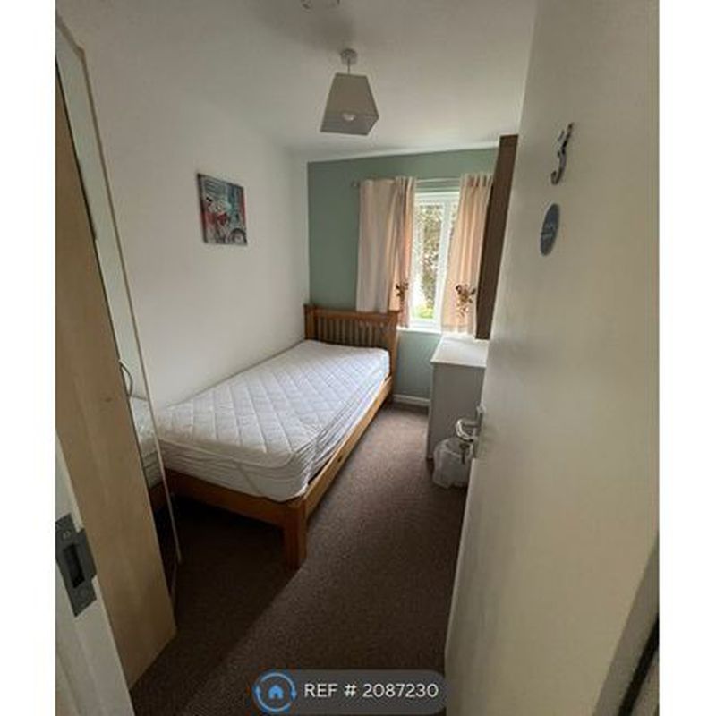 Room to rent in Wheatdole, Peterborough PE2 Orton Goldhay