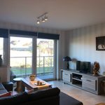 Rent 1 bedroom apartment in Zottegem