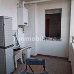 Affitto 1 camera appartamento di 35 m² in Prato