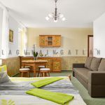 Rent 10 bedroom house of 300 m² in Budafok