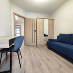 Rent 4 bedroom house of 108 m² in Biała Podlaska