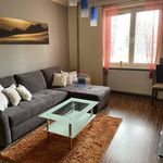 Rent 2 bedroom apartment of 57 m² in Číhošť