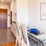 Rent 1 bedroom apartment of 35 m² in Paranhos