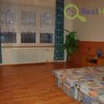 Rent 1 bedroom apartment of 49 m² in Prostějov