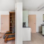 Rent 2 bedroom apartment of 83 m² in Leipzig