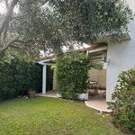 Rent 5 bedroom house of 100 m² in Tarquinia