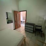 Rent 1 bedroom apartment of 40 m² in Pisa