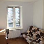 Rent 2 bedroom apartment of 45 m² in Toruń