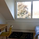 Rent 2 bedroom apartment in Bern