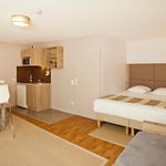 Rent 1 bedroom apartment of 25 m² in Strasbourg
