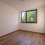 Rent 4 bedroom house of 300 m² in Těrlicko