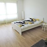 Miete 4 Schlafzimmer wohnung von 85 m² in Muri bei Bern