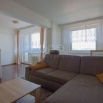 Rent 3 bedroom apartment of 65 m² in Kralupy nad Vltavou