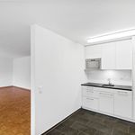 Rent 1 bedroom apartment of 49 m² in Olten